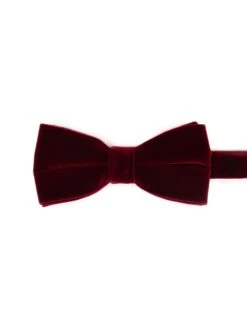 Noeud Papillon En Velours Bourgogne