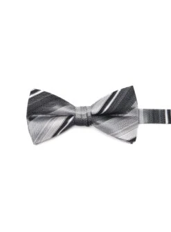 Noeud Papillon à Rayures Grises