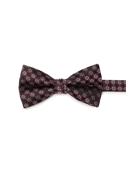 Noeud Papillon à Cercles Bourgognes